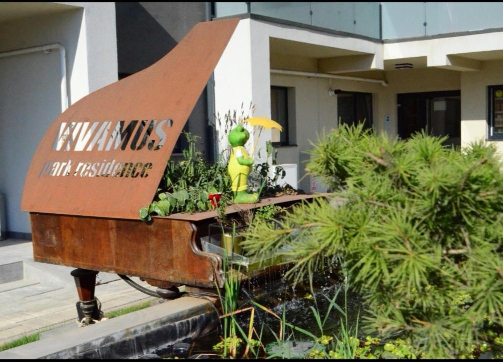 Vivamus Studio Μπρασόβ Εξωτερικό φωτογραφία